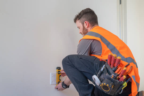 Best Electrical System Inspection  in Lexington, MN